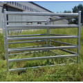 Zaun Yard Galvanisiert Temporary Horse Panel zum Verkauf
